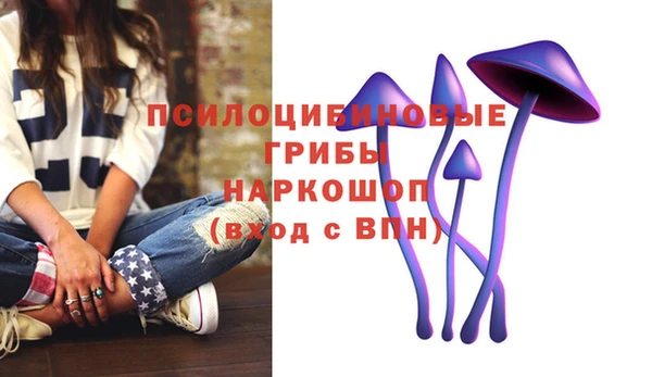 гидра Алексеевка