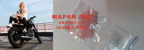 стафф Алексин