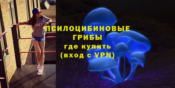 гидра Алексеевка