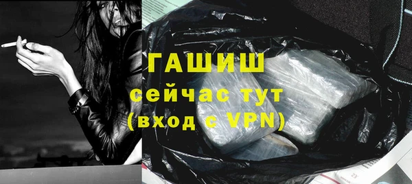 гидра Алексеевка