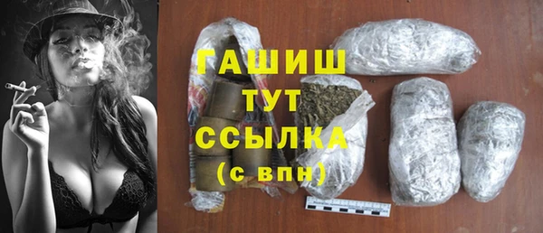 гидра Алексеевка