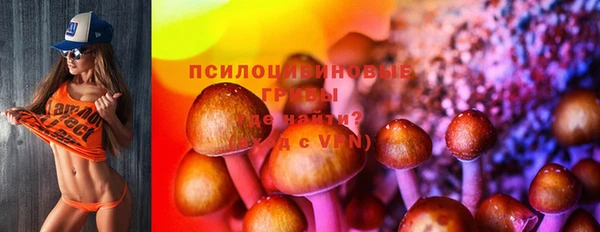 стафф Алексин