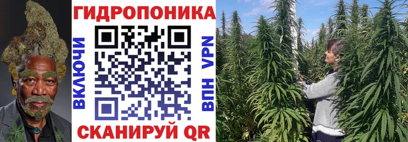 МАРИХУАНА Amnesia Ува
